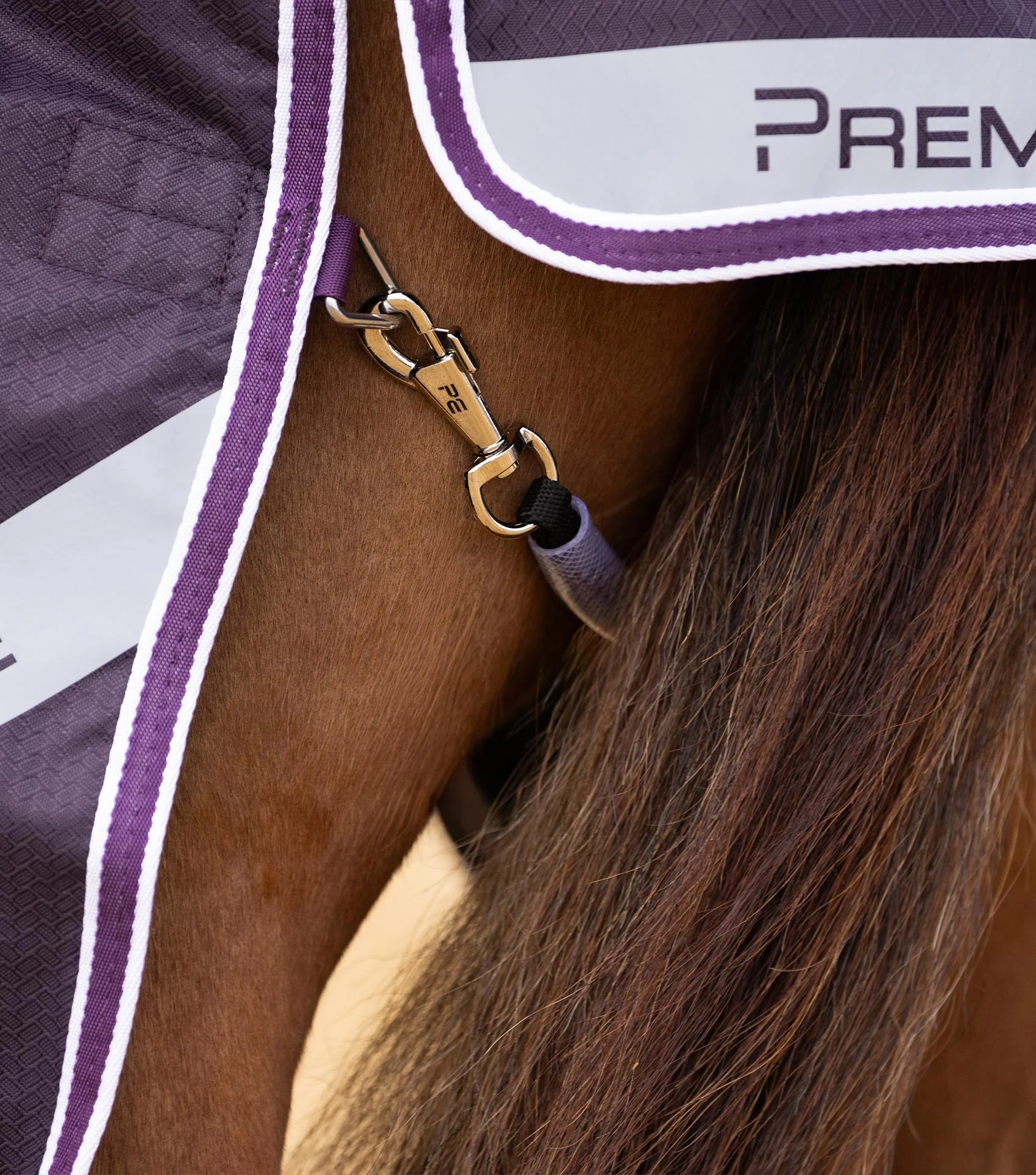 Stratus 600D Series 0g Original Turnout Rug Purple - Image 5