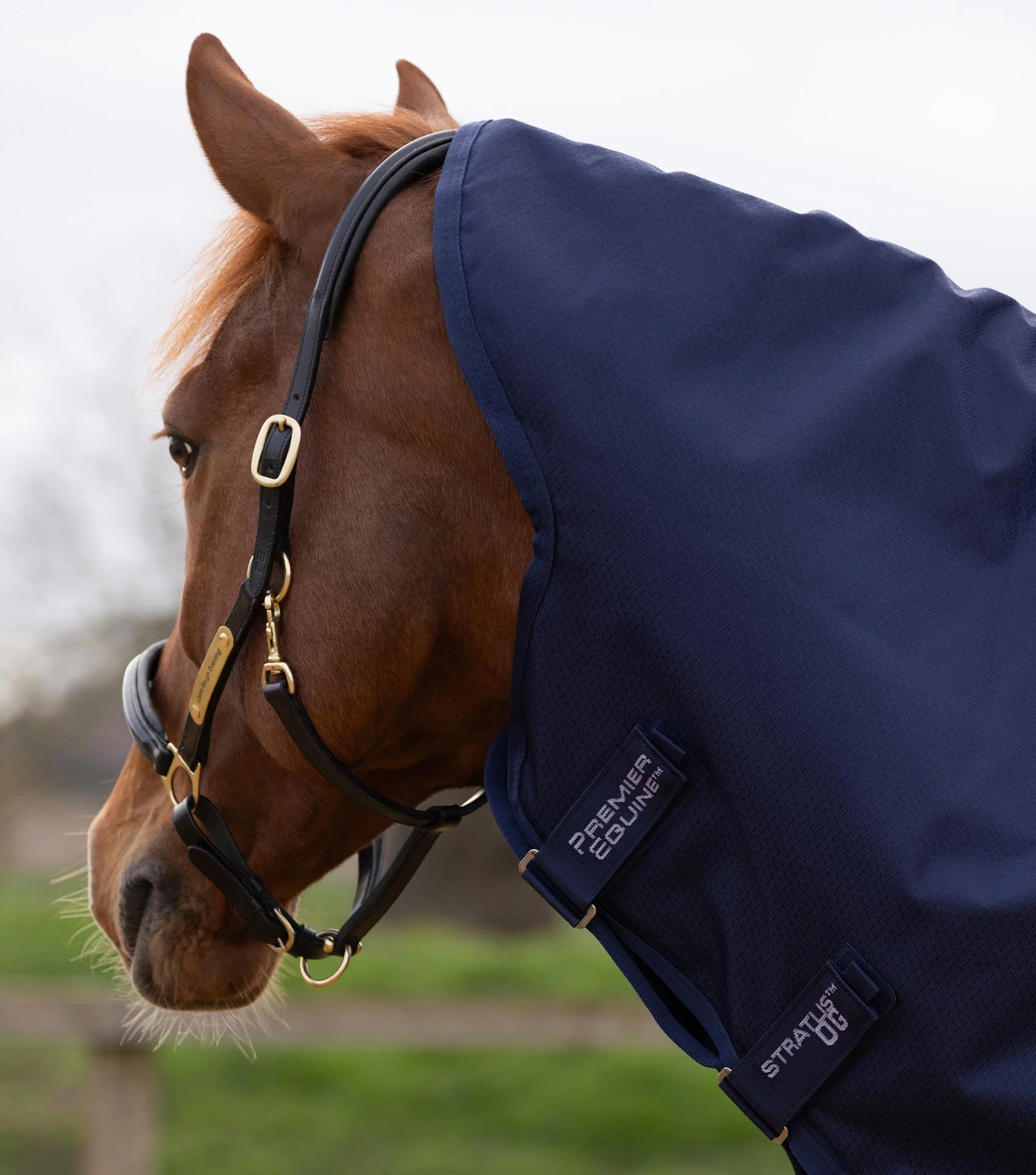 Stratus 600D Series 0g Turnout Rug with Classic Neck Cover Navy - Image 2