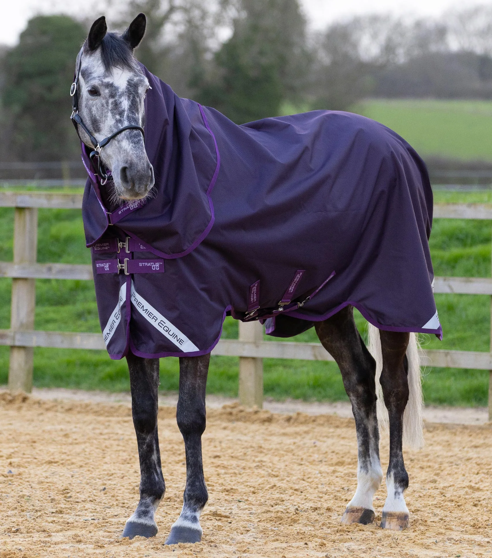 Stratus 600D Series 0g Turnout Rug with Classic Neck Cover Purple