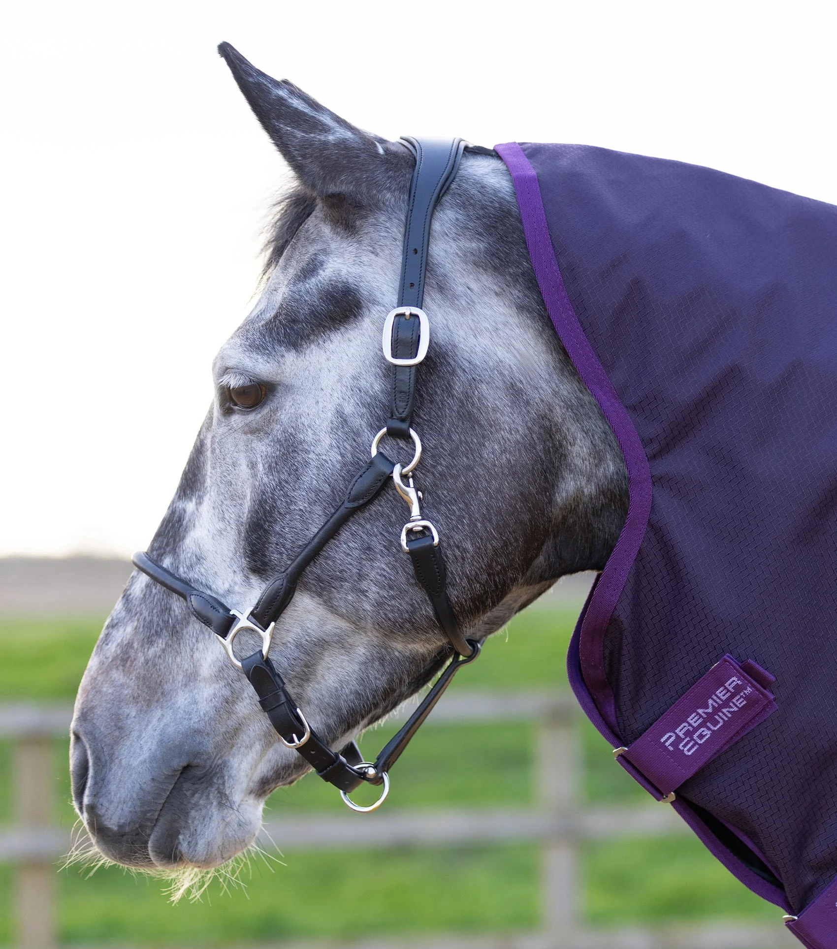 Stratus 600D Series 0g Turnout Rug with Classic Neck Cover Purple - Image 2