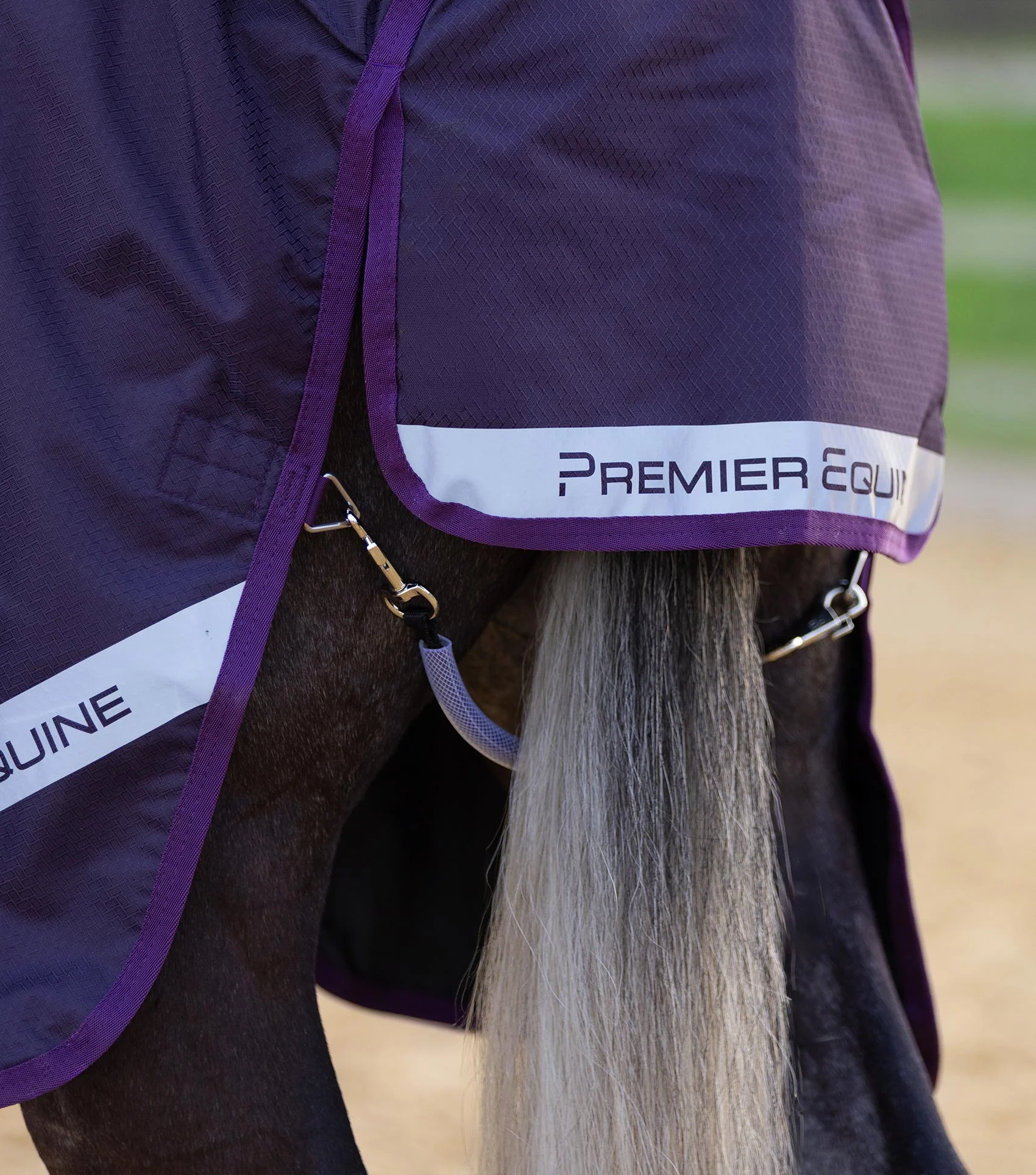 Stratus 600D Series 0g Turnout Rug with Classic Neck Cover Purple - Image 6