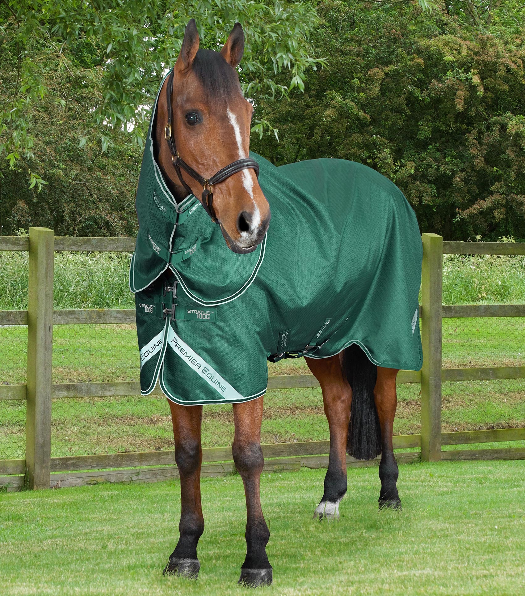 Stratus 600D Series 100g Turnout Rug with Classic Neck Cover Green
