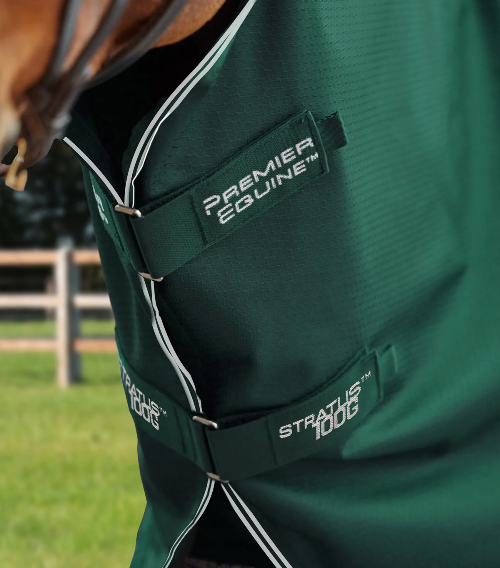 Stratus 600D Series 100g Turnout Rug with Classic Neck Cover Green - Image 2