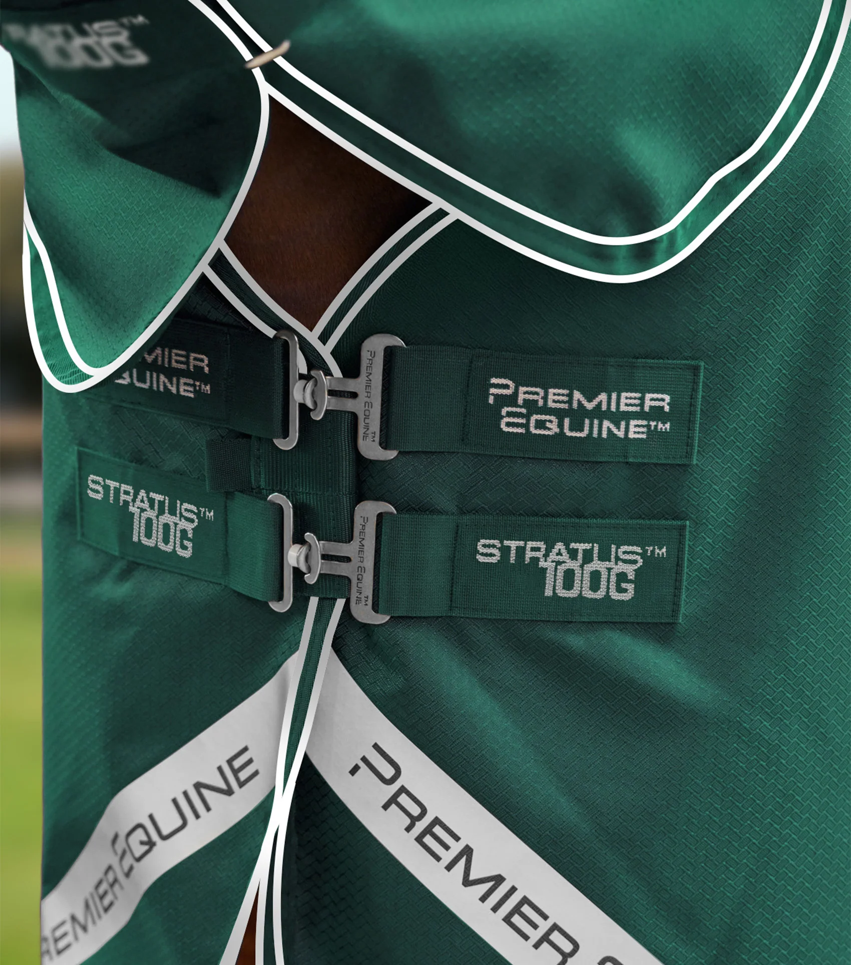 Stratus 600D Series 100g Turnout Rug with Classic Neck Cover Green - Image 4