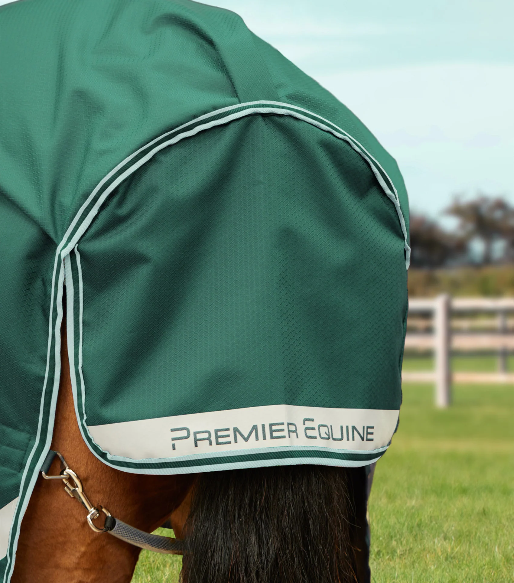 Stratus 600D Series 100g Turnout Rug with Classic Neck Cover Green - Image 6