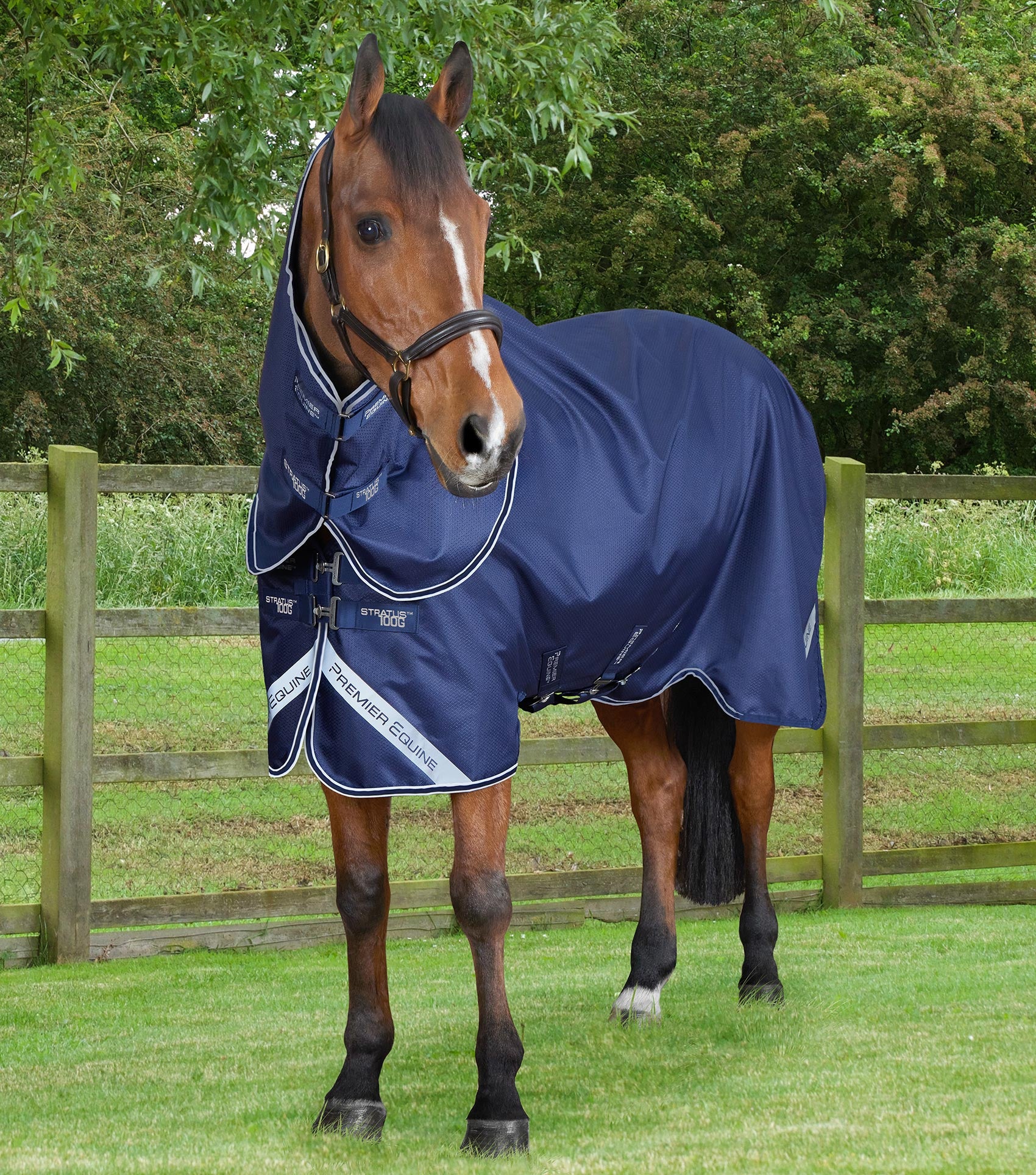 Stratus 600D Series 100g Turnout Rug with Classic Neck Cover Navy