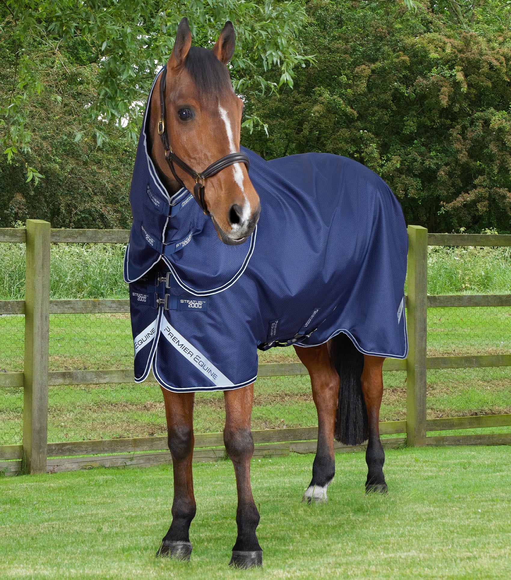 Stratus 600D Series 200g Turnout Rug with Classic Neck Cover Navy