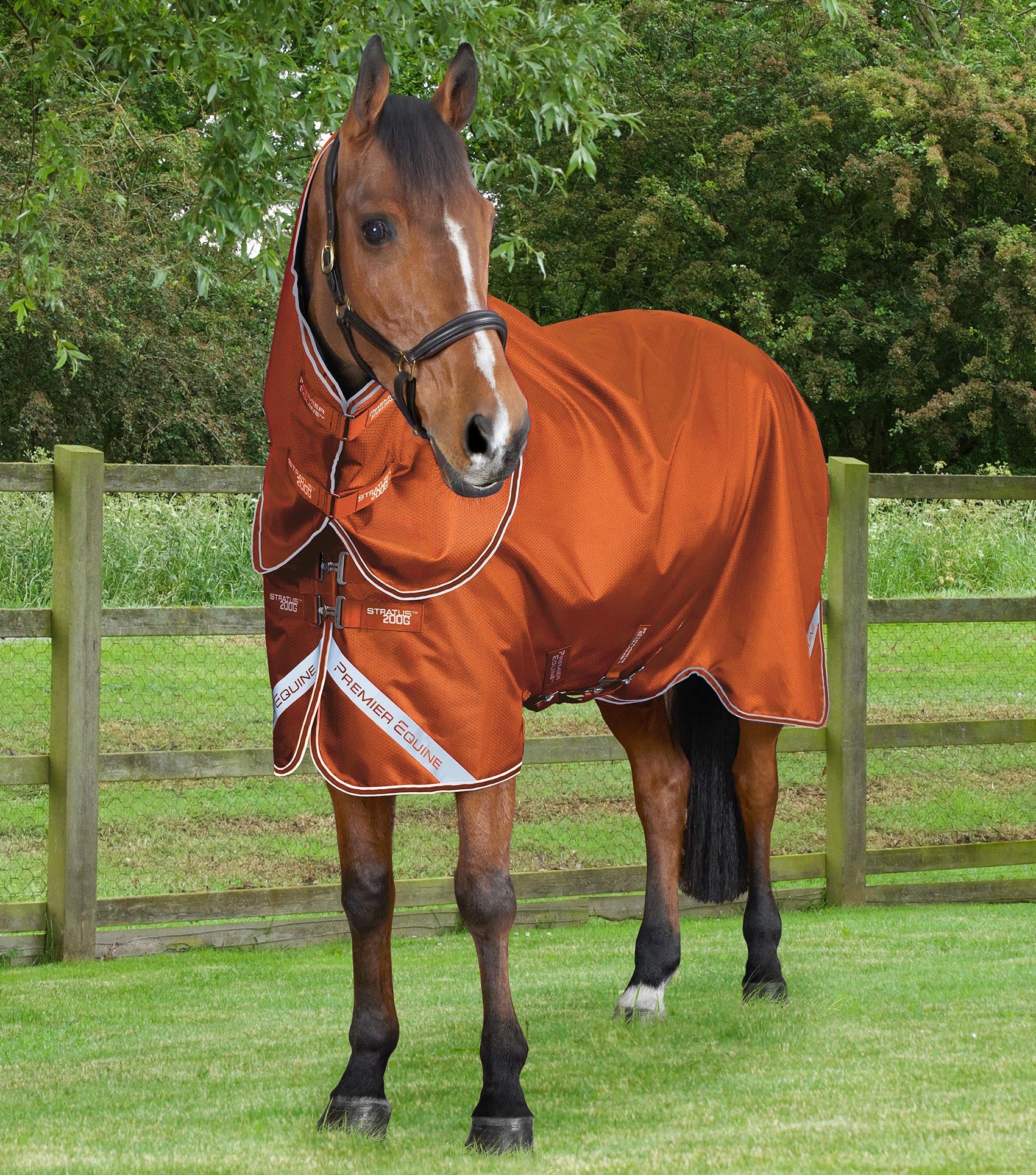 Stratus 600D Series 200g Turnout Rug with Classic Neck Cover Orange