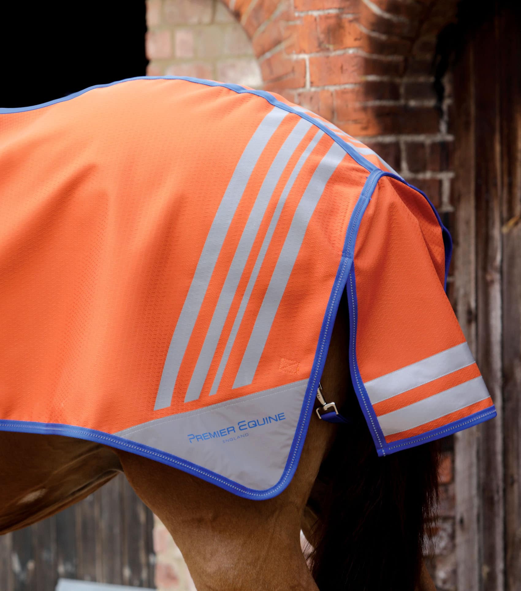 Stratus Horse Exercise Sheet Orange - Image 4