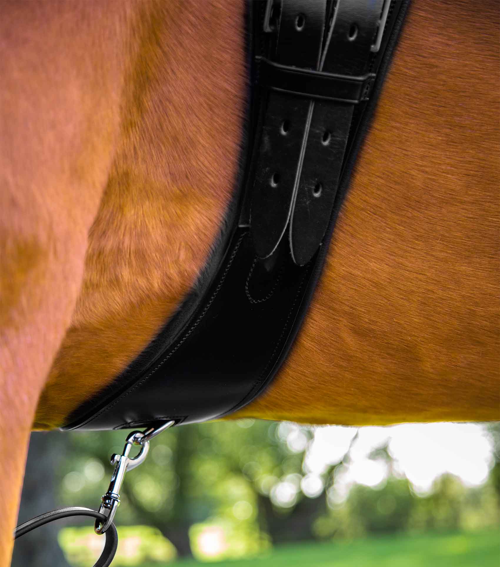 Tamarro Anatomic Leather Girth - Image 4
