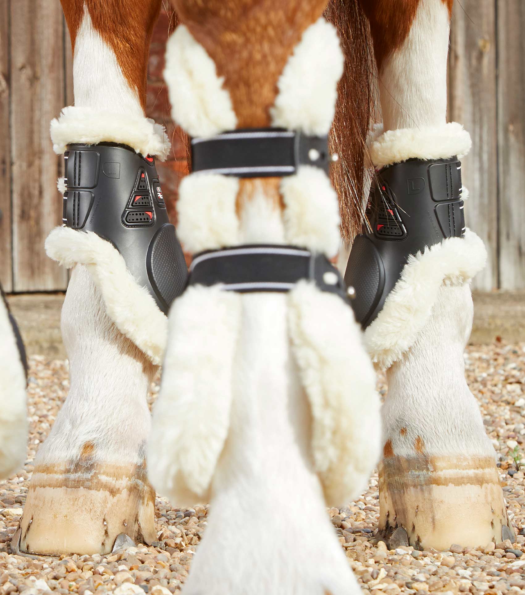 Sale Techno Wool Fetlock Boots Black - Image 2
