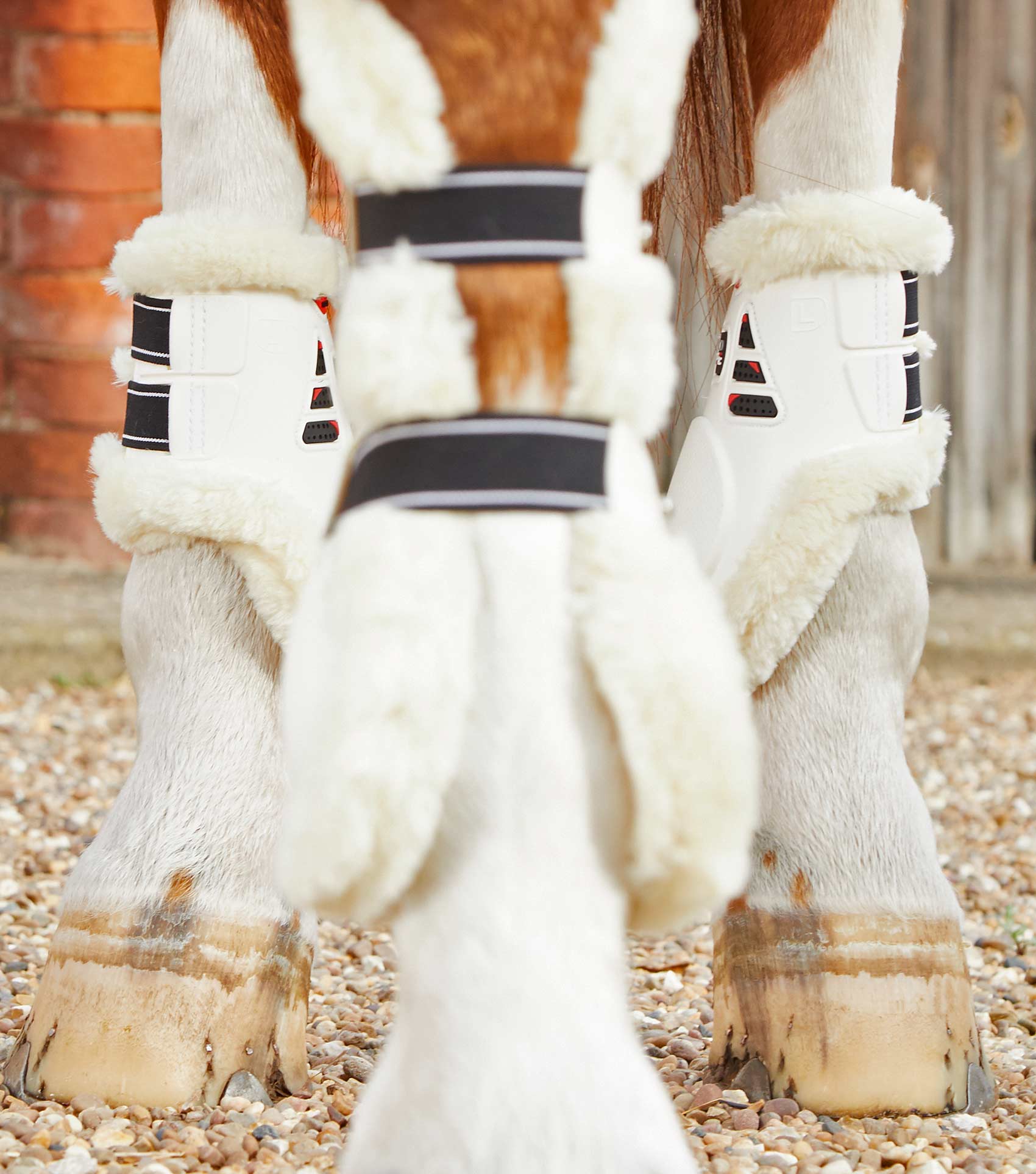 Sale Techno Wool Fetlock Boots White - Image 2