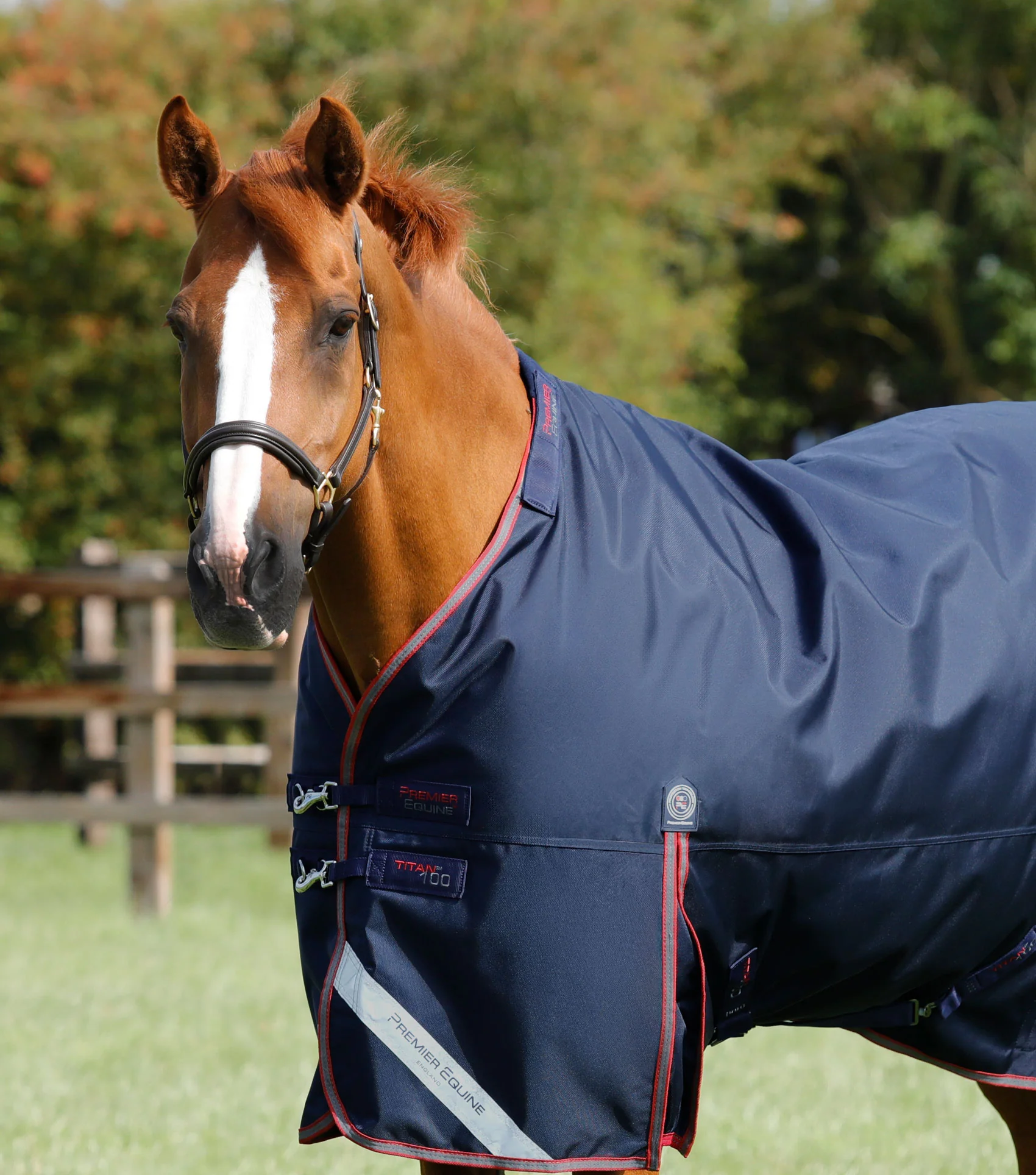 Titan 100g Turnout Rug with Snug-Fit Neck Cover Navy - Image 2