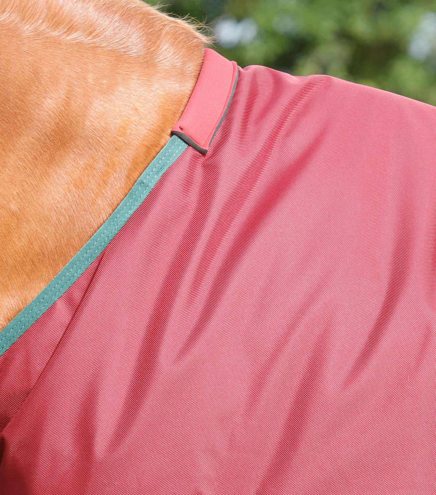 Titan 100g Original Turnout Rug Burgundy - Image 2