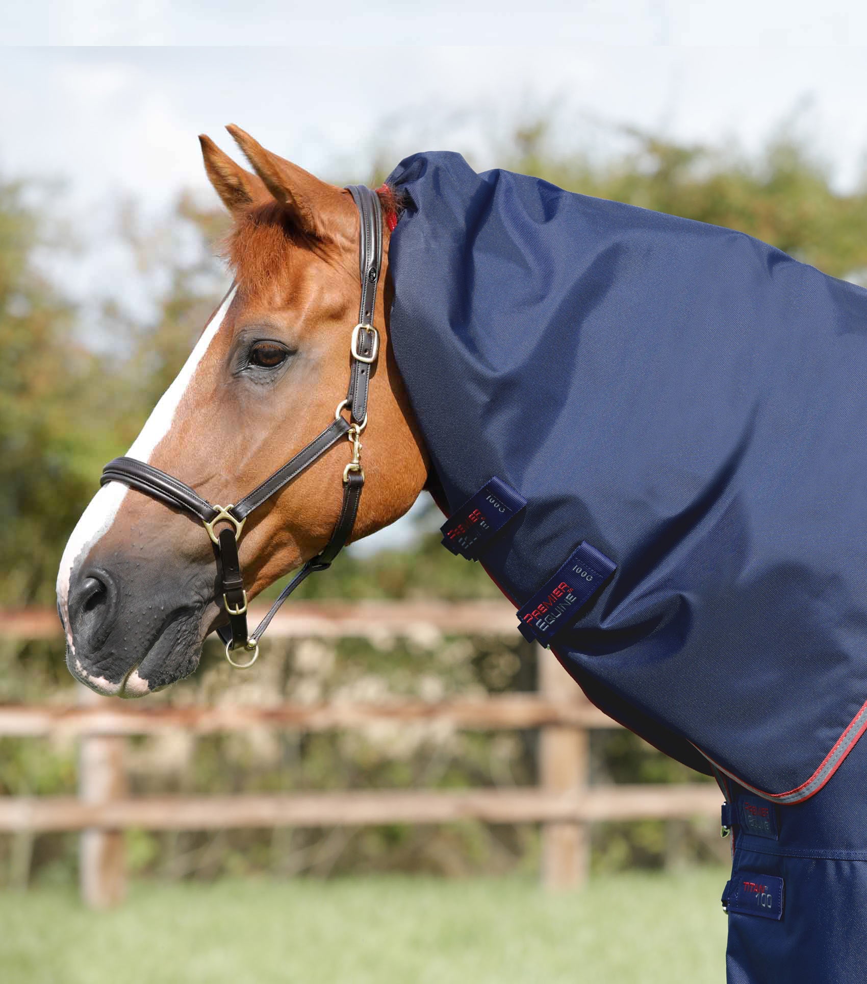 SALE Titan 100g Turnout Rug Neck Cover (200g Fill) - Image 2