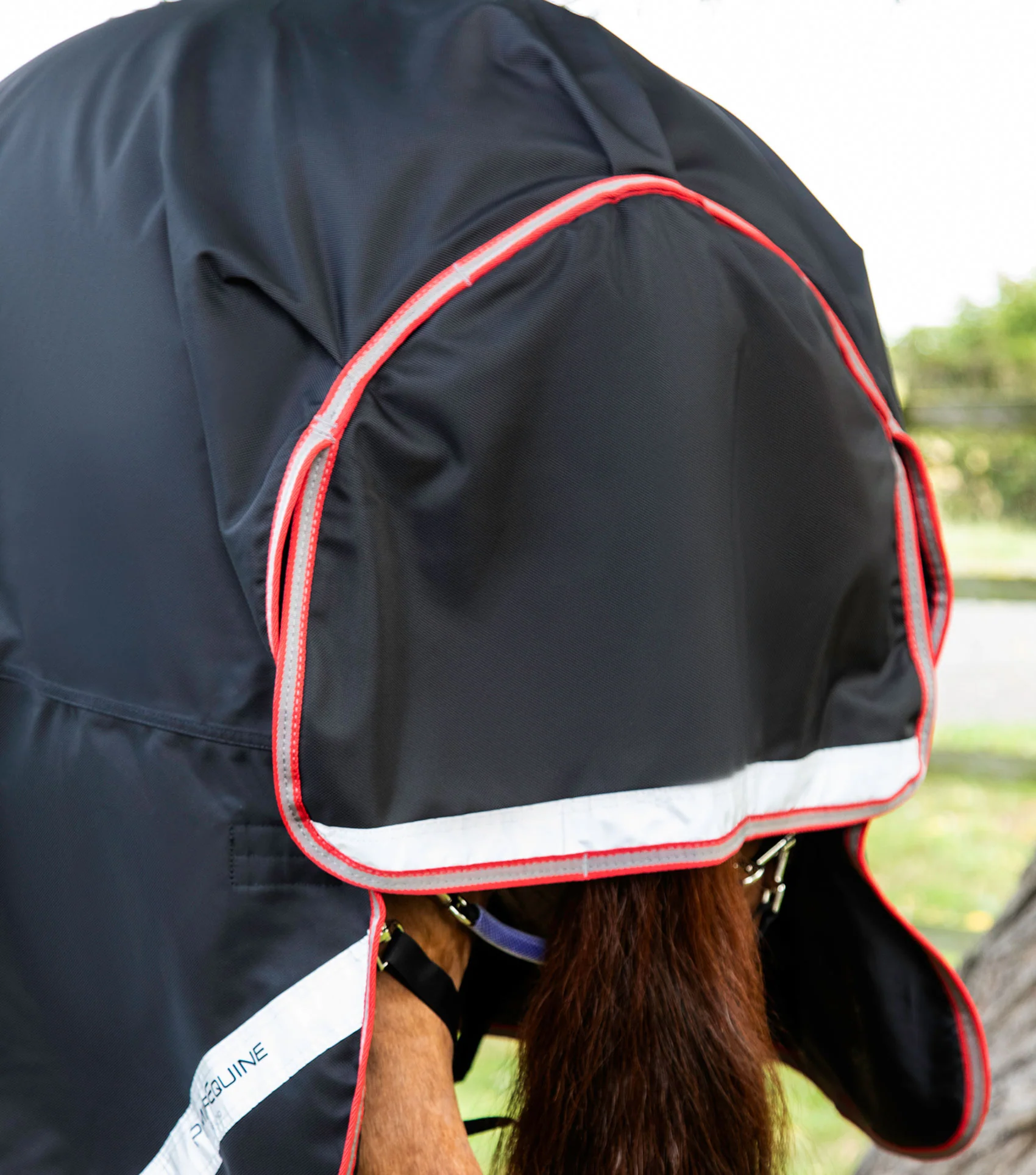Titan 100g Turnout Rug with Snug-Fit Neck Cover Black - Image 5