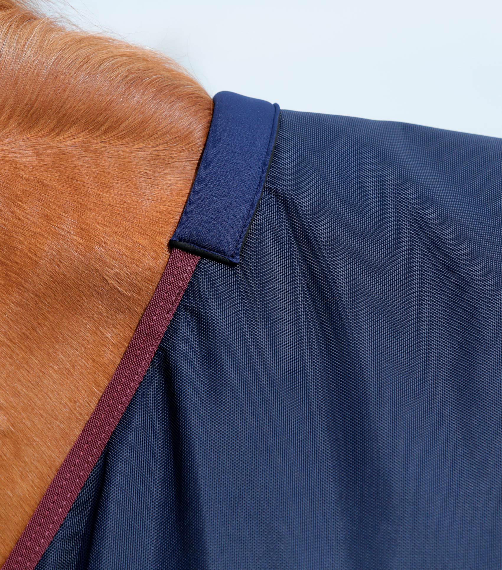 Titan 200g Original Turnout Rug Navy - Image 2