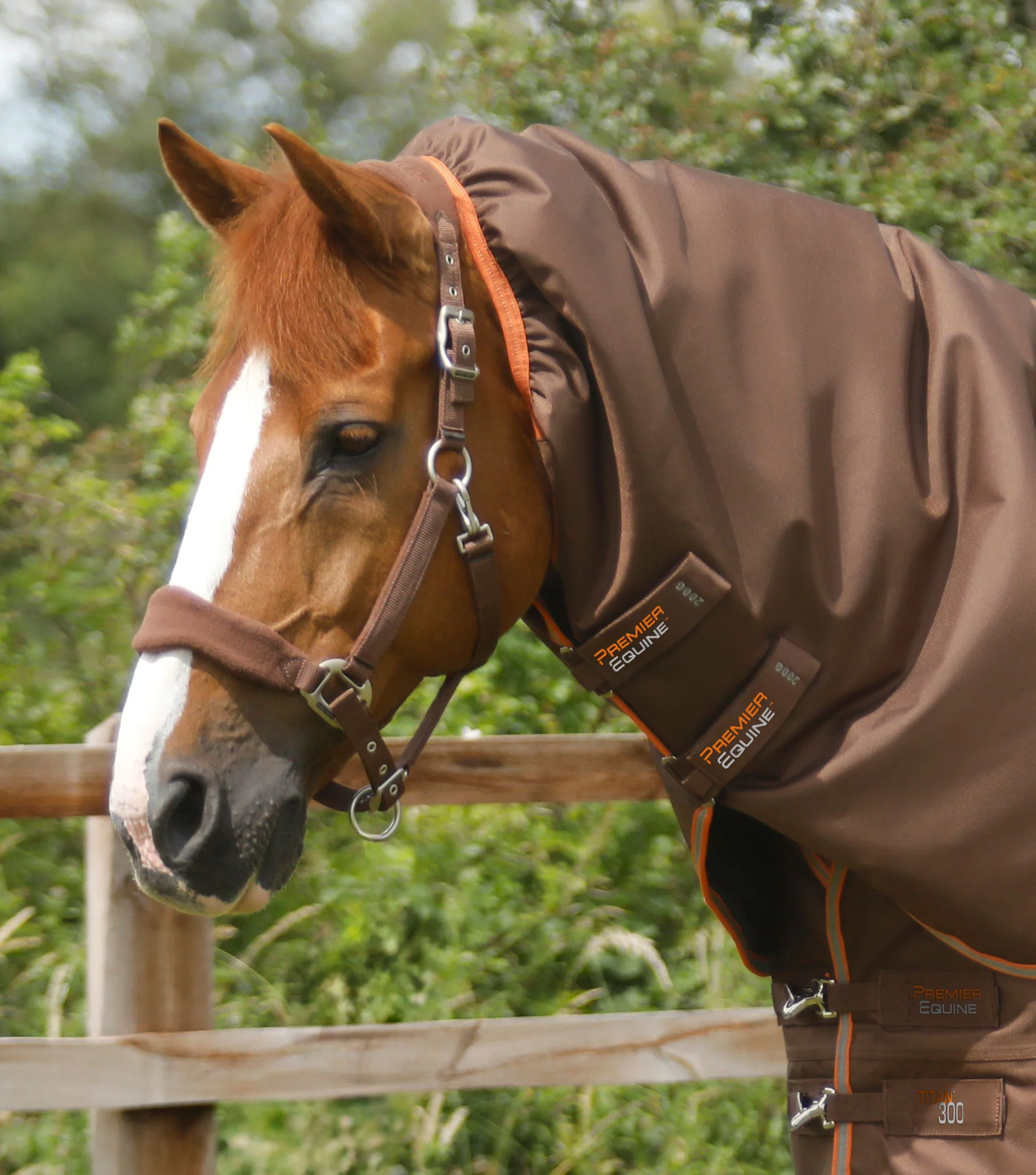 Titan 300g Turnout Rug with Snug-Fit Neck Cover Brown - Image 3