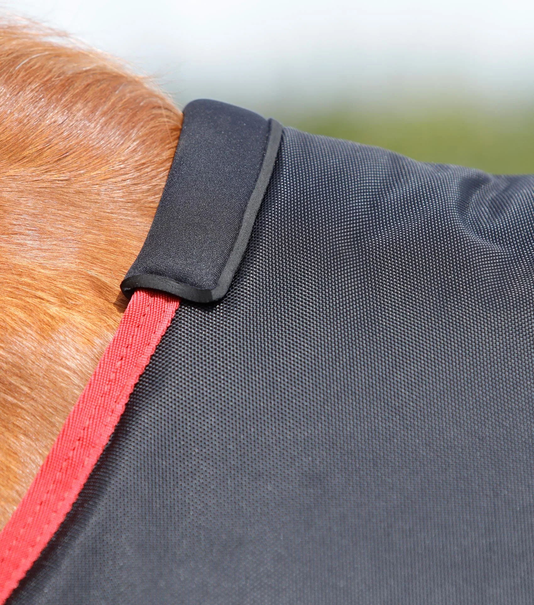 Titan 450g Original Turnout Rug Black - Image 2