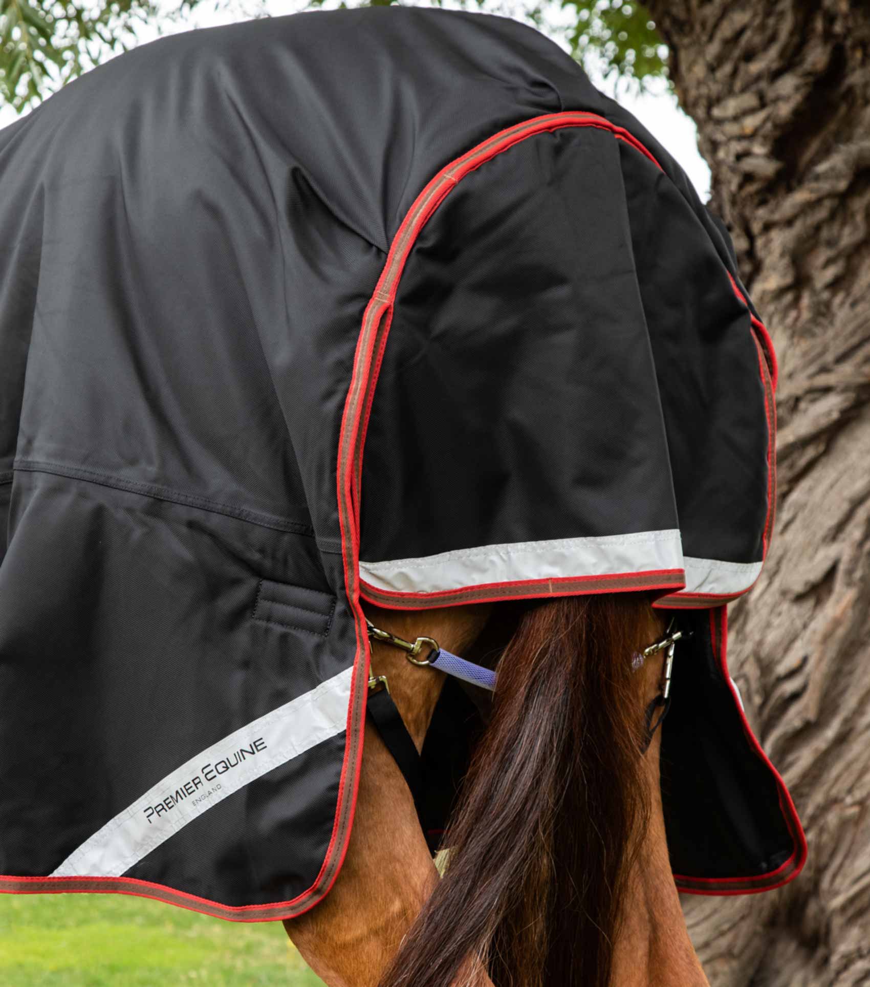 Titan 450g Turnout Rug with Snug-Fit Neck Cover Black - Image 5