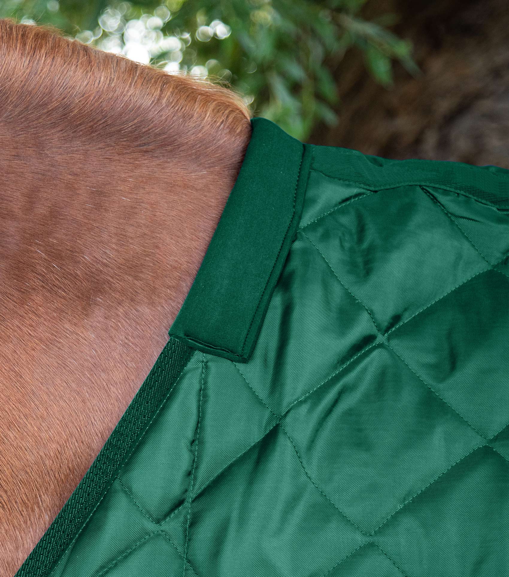 Tuscan Stable Rug 200g Green - Image 2