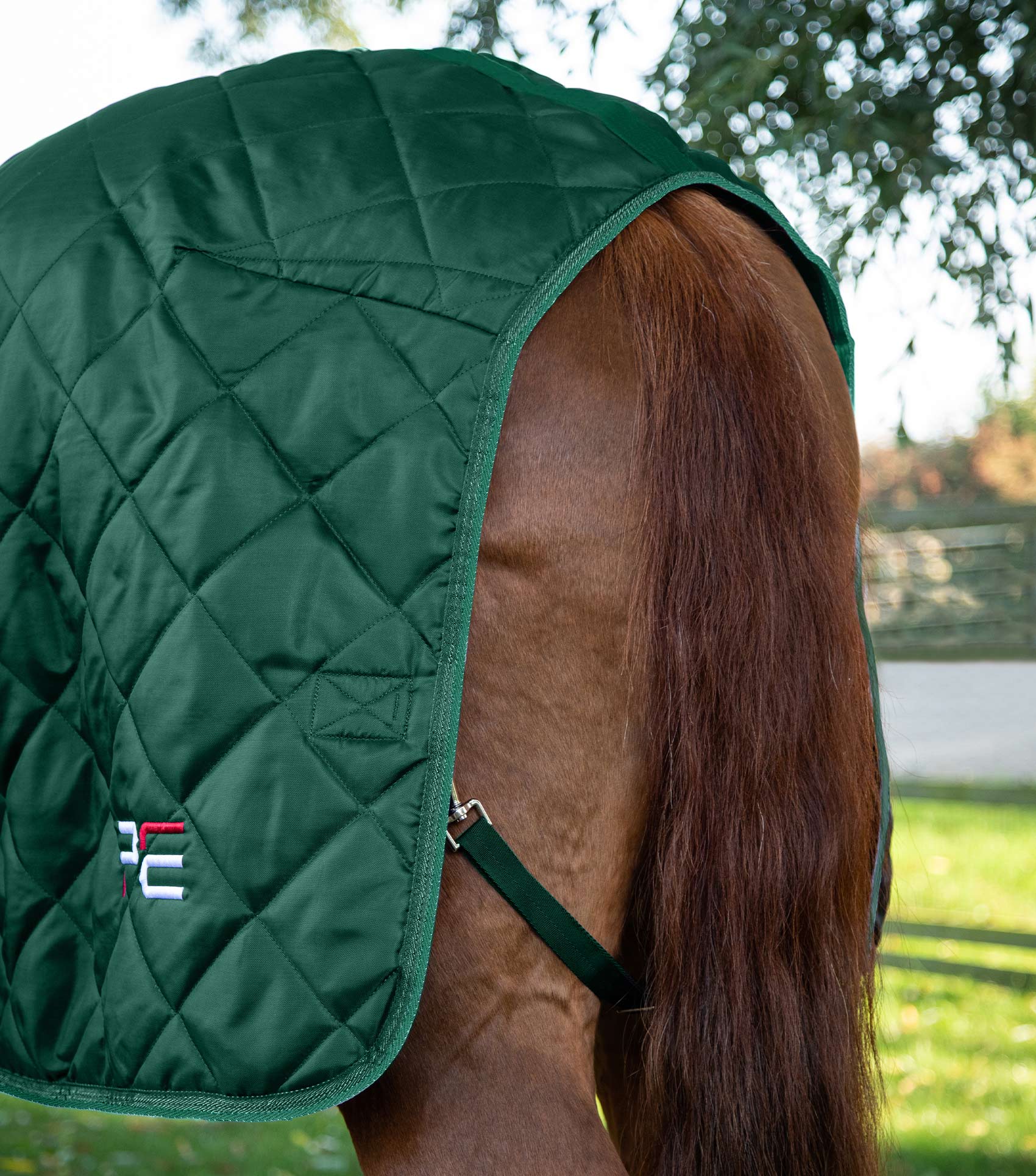 Tuscan Stable Rug 200g Green - Image 6