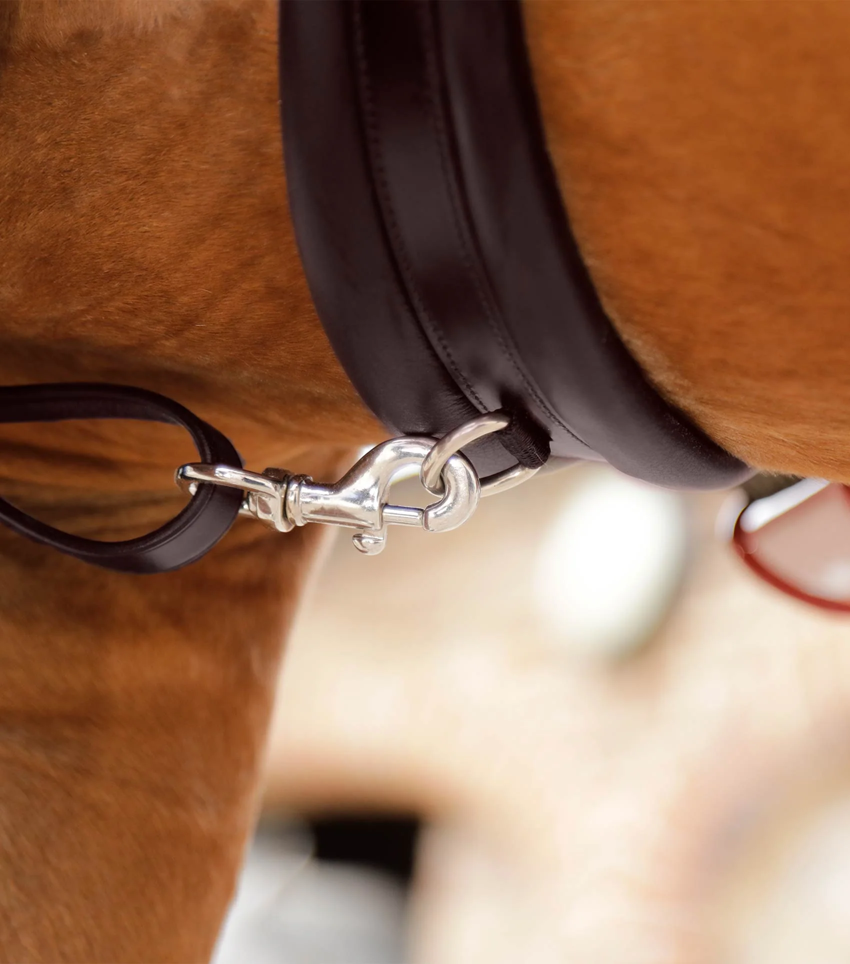 Valbrona Performance Breastplate Brown - Image 3
