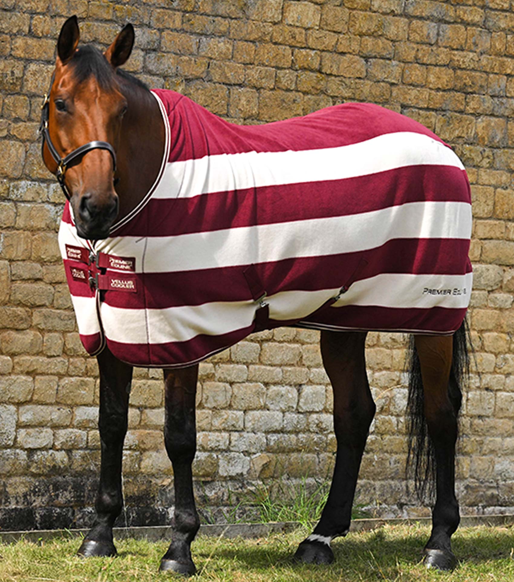Vellus Horse Fleece Rug Burgundy/White