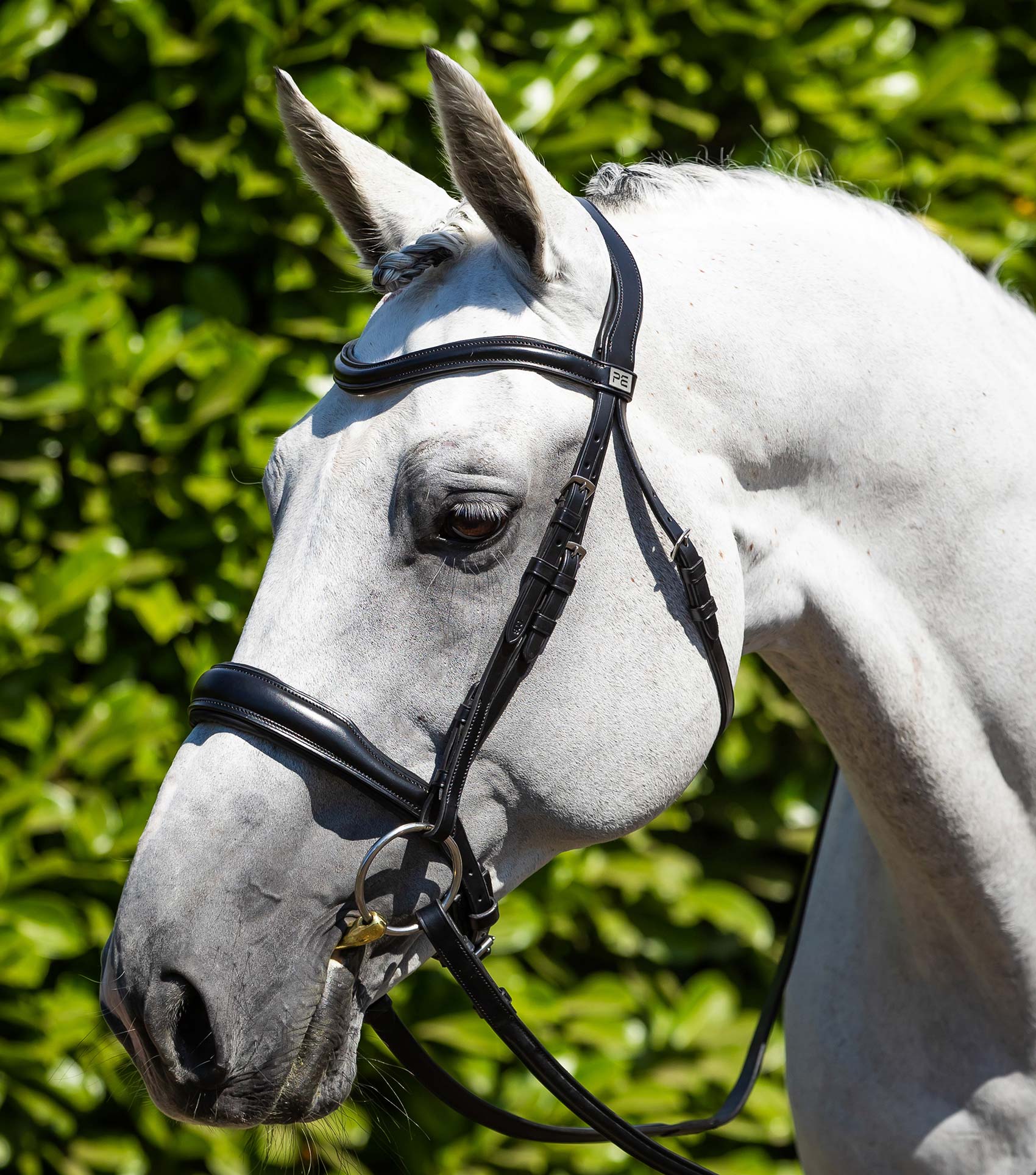 Verdura Anatomic Snaffle Bridle Black
