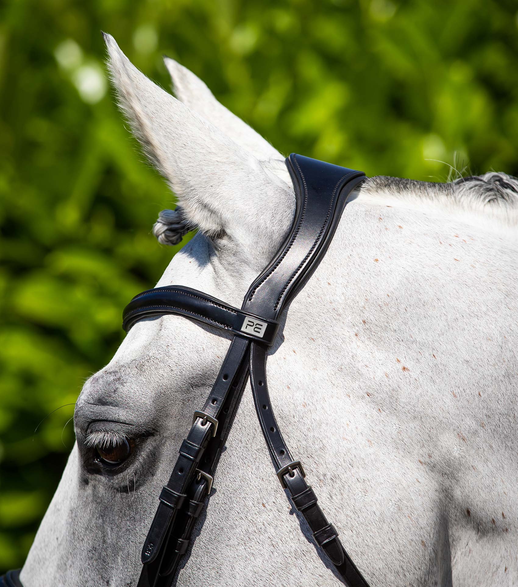 Verdura Anatomic Snaffle Bridle Black - Image 3