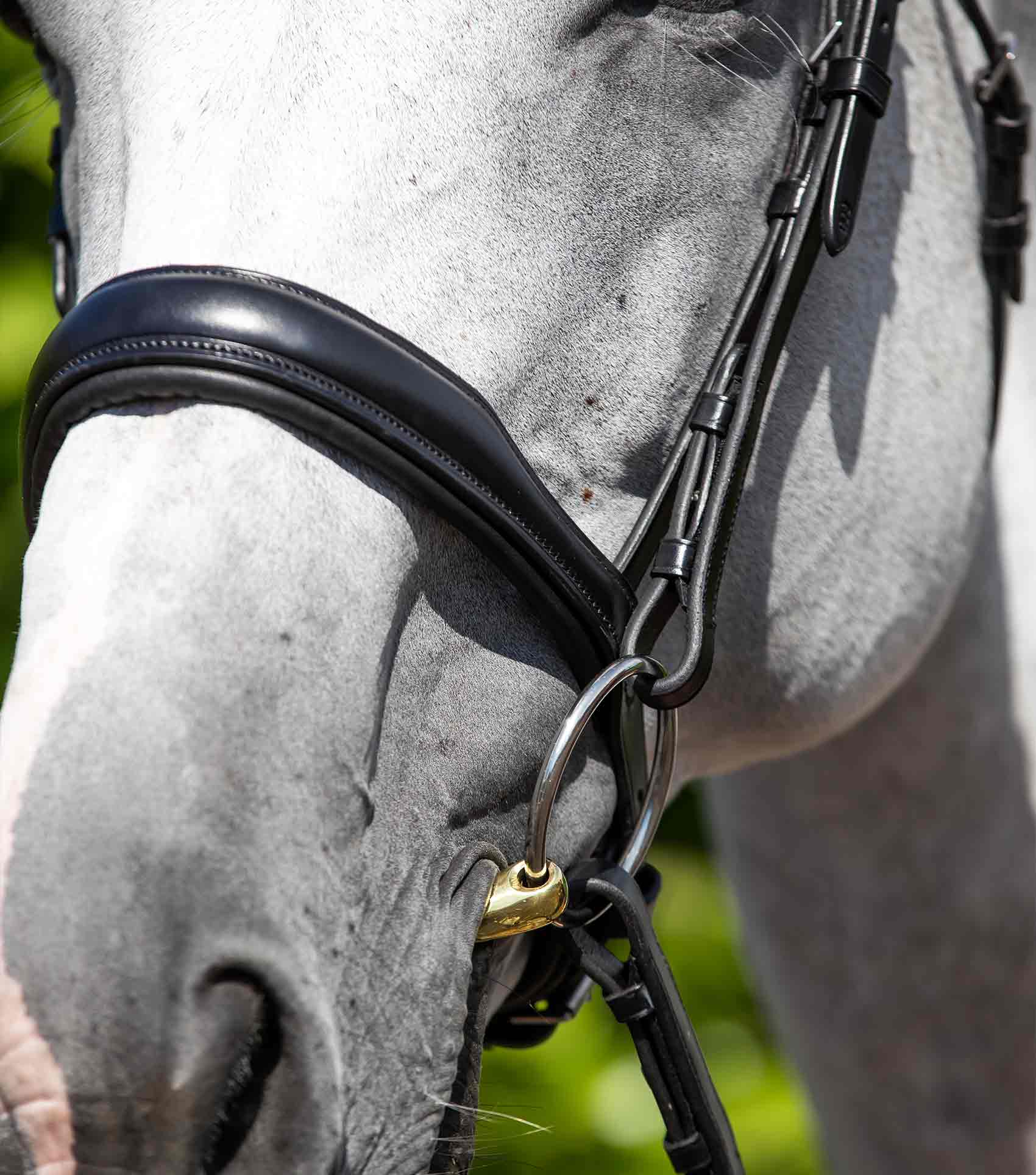 Verdura Anatomic Snaffle Bridle Black - Image 4